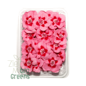 Pelargonia różowa jadalna